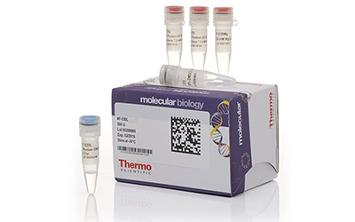 Реактивы Thermo FS для молекулярно-биологических исследований в небольших фасовках за 350 руб! Количество ограничено.
