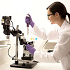 Система инкапсуляции клеток Nadia Innovate, с микроскопом и термоконтроллером, Dolomite Microfluidics Фото 4